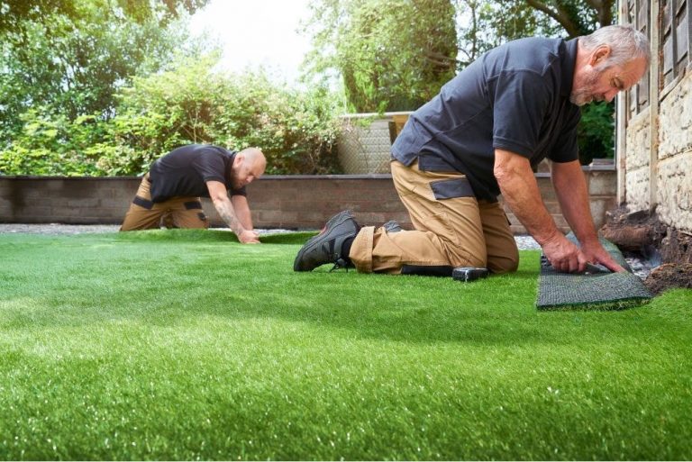 Grass Carpet