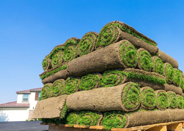 Steps To Choose Low Maintenance Sod From Atlanta Sod Company